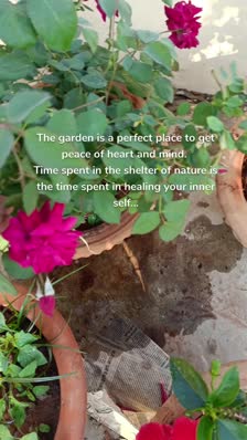 The garden is a perfect place to get peace of heart and mind. 
Time spent in the shelter of nature is the time spent in healing your inner self...